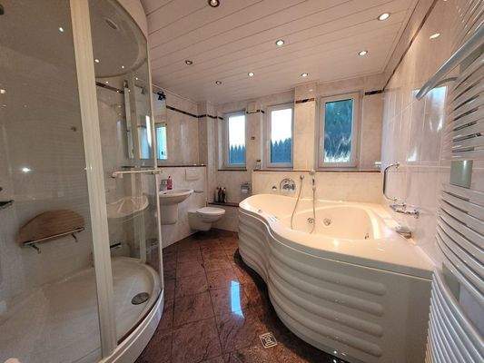 ELW-Bad mit Whirlwanne, Wellnessdusche