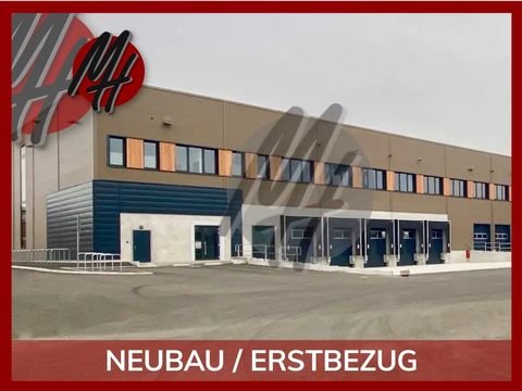 Schlangen Halle, Schlangen Hallenfläche