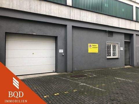 Bad Ems Halle, Bad Ems Hallenfläche