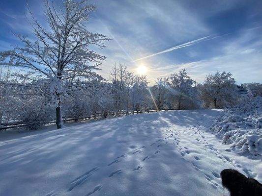 Winteraussicht seitlich