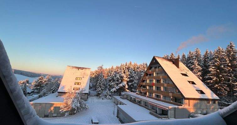 Zuhause im Schwarzwald