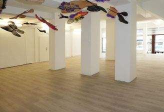 Blick zum Schaufenstere