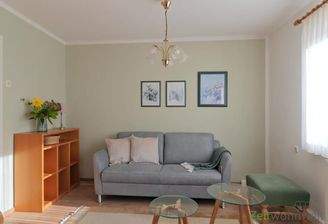 Blick ins Wohnzimmer