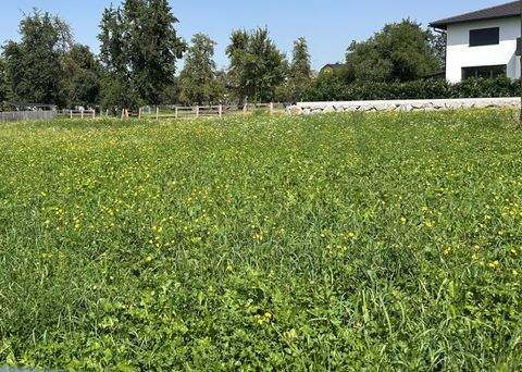 Ostermiething Grundstücke, Ostermiething Grundstück kaufen