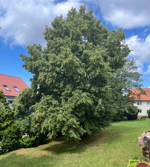 Göttingen Wohnungen, Göttingen Wohnung kaufen