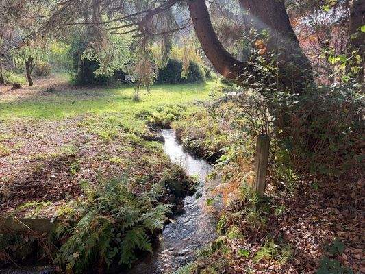 Grundstück-Bachlauf