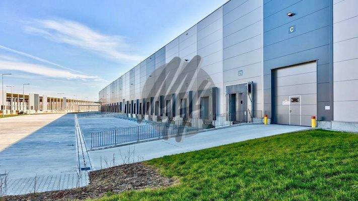 INFOS UNTER: 06171-586000