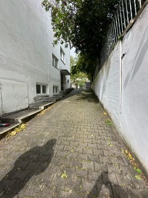 IMG_0782.jpg