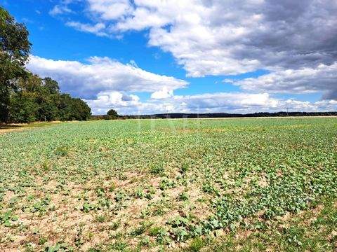 Milower Land Bauernhöfe, Landwirtschaft, Milower Land Forstwirtschaft