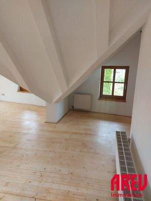 20250729_134029_resized