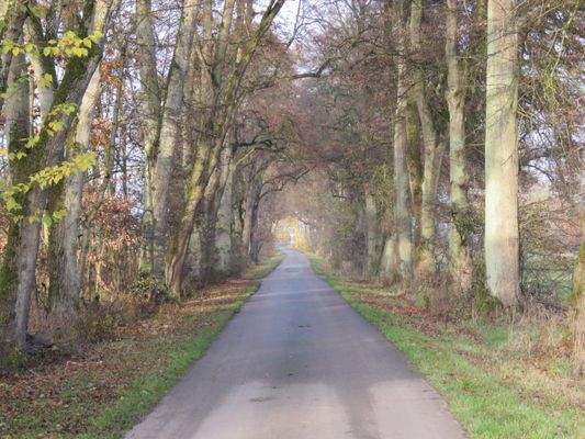 öffentliche Zufahrt durch eigene Allee 