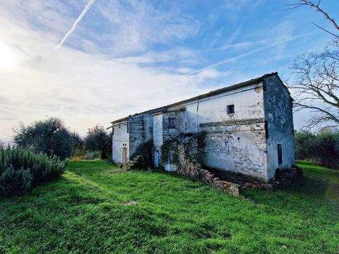 Palaia Häuser, Palaia Haus kaufen