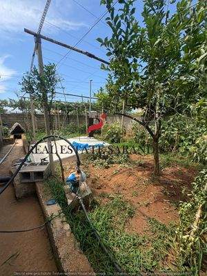 WhatsApp Image 2025-08-05 at 15.15.07 (1).jpeg