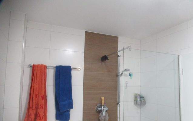 2025-09-17 035 bearb. - Dusche.JPG