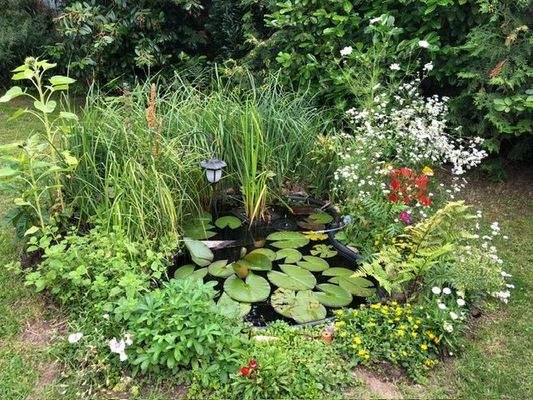 Kleiner Gartenteich