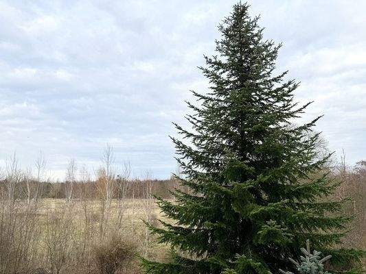 Blick aus dem Fenster