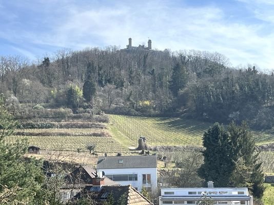 Schlossblick