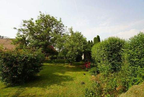 Schkopau-Hohenweiden Grundstücke, Schkopau-Hohenweiden Grundstück kaufen