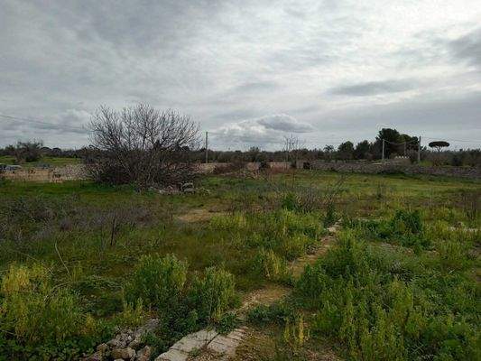 Masseria li Rizzi in Copertino (Lecce)