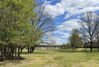 Die Nemitzer Heide vor der Tür