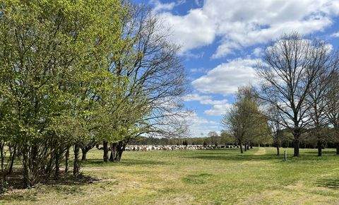 Trebel Häuser, Trebel Haus kaufen