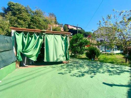 photo1696515584 (7).jpeg