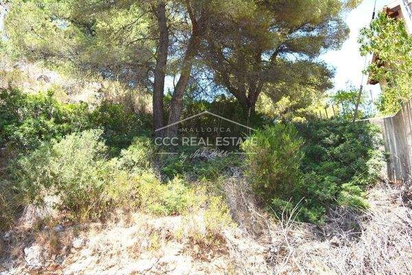 Grundstück mit Zugang von 2 Straßen