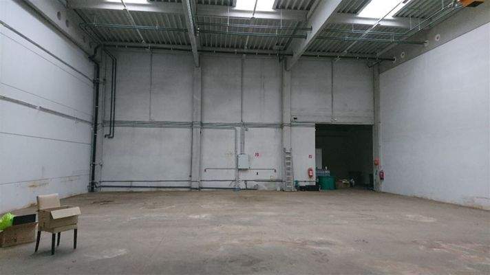 Halle 1b-H1b