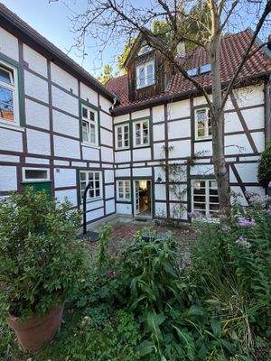 Rückansicht (2).JPG