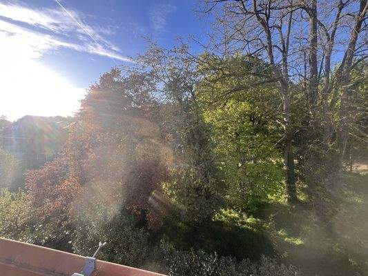 Aussicht von der Terrasse