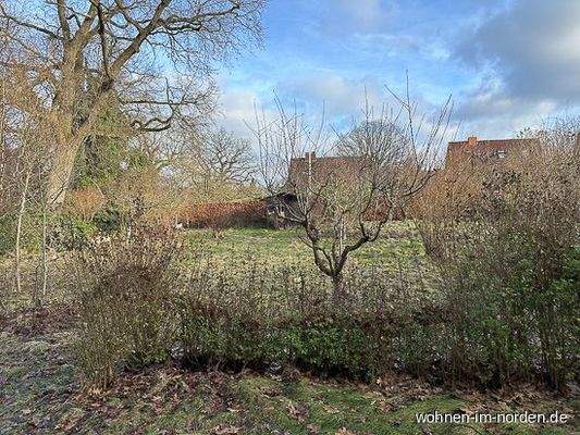 Blick aus Wohnzimmer