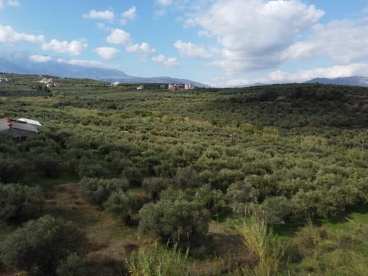 Kreta, Tsivaras: Grundstück zum Verkauf in Tsivaras