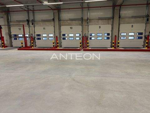 Ratingen Halle, Ratingen Hallenfläche