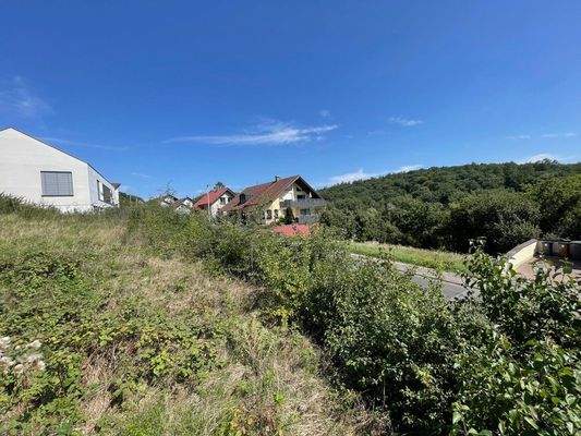 Blick vom Grundstück