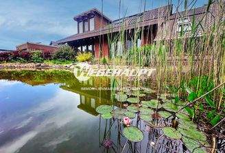 Teich Sued-West Ansicht