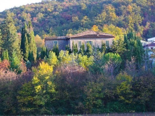 Wunderschönes Anwesen | Arezzo