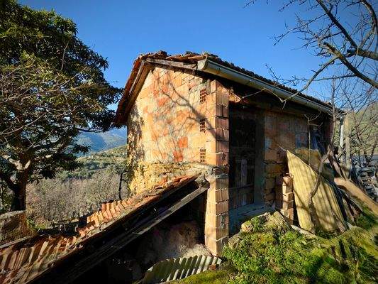 DA997_07_TERRA ITALIA IMMOBILIEN_REAL ESTATE_LAND_