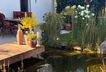 Terrasse Teich
