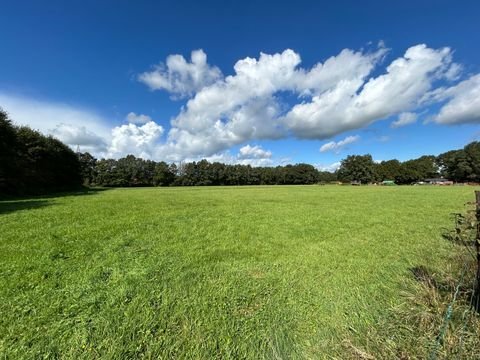 Lienen Bauernhöfe, Landwirtschaft, Lienen Forstwirtschaft