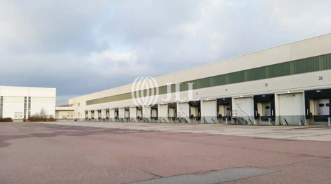 Zörbig Halle, Zörbig Hallenfläche