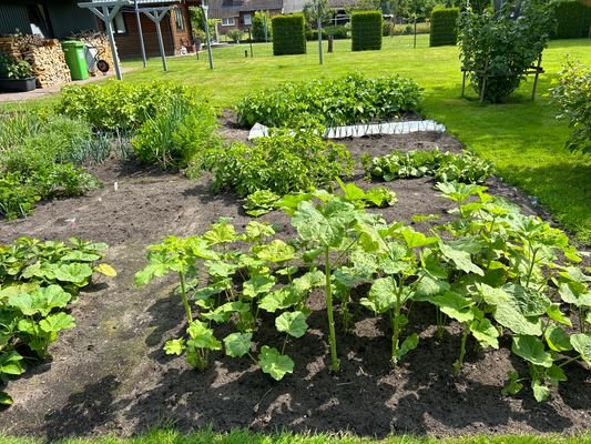 Garten mit Gemüsebeet 
