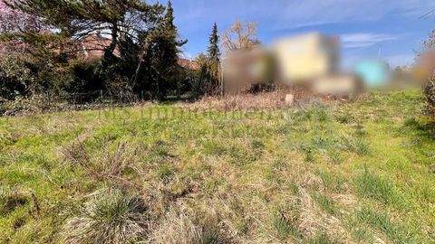 Grünstadt Grundstücke, Grünstadt Grundstück kaufen