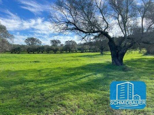 Kreta, Pitsidia: Grundstück zwischen zwei schönen Dörfern zu verkaufen