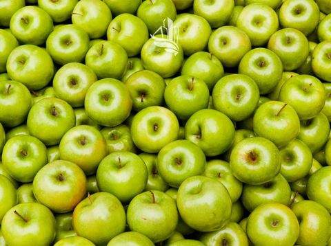 Branzoll Grundstücke, Branzoll Grundstück kaufen