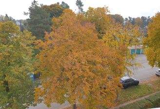 Aussicht von der Loggia.