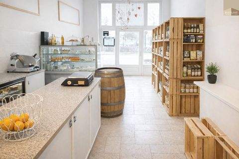 Mödling Halle, Mödling Hallenfläche