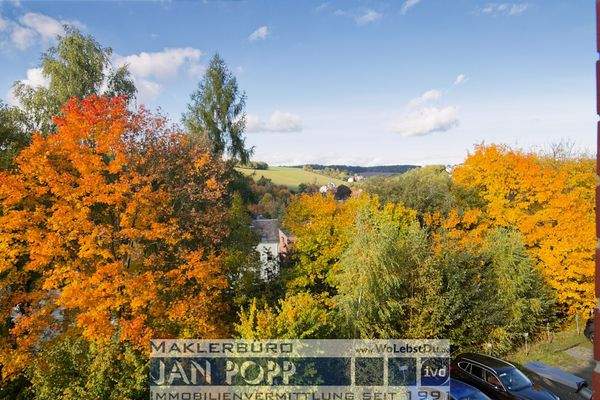 Blick aus dem Wohnzimmer