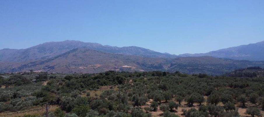 Kreta, Kalamitsi Amigdali: Charmantes kretisches Haus mit privatem Olivenhain und Bergblick zu verkaufen