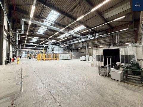 Markgröningen Halle, Markgröningen Hallenfläche