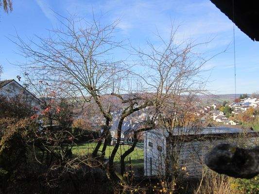 IMG_4252 - Kopie.JPG